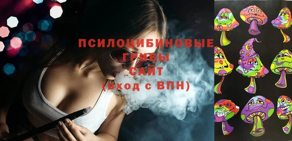 бошки Бронницы