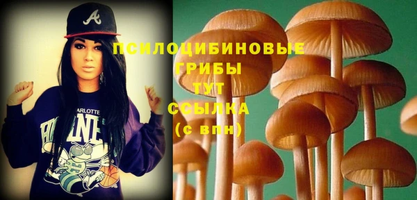 бошки Бронницы
