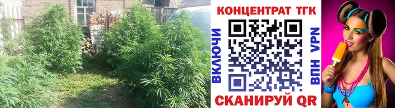 Дистиллят ТГК Wax  Бийск 