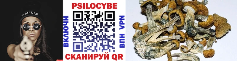наркотики  Бийск  Галлюциногенные грибы Psilocybe 
